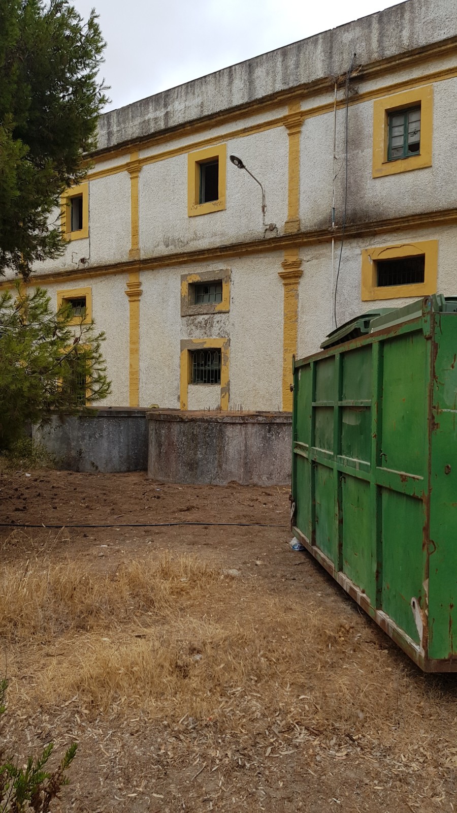 image_a784a456-e101-44af-9003-3eab89a3b6d3.photo-2019-07-16-11-35-58